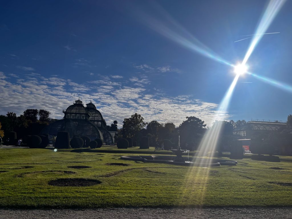 Sonne im Schönbrunner Schlosspark